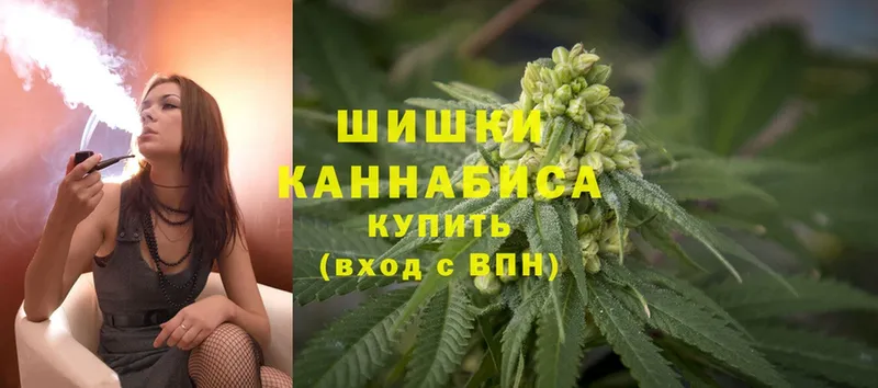 ссылка на мегу tor  купить  сайты  Алейск  Шишки марихуана LSD WEED 